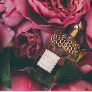 Meet your Posher, Ana